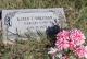 Headstone of Karen Lynn Townsend Holligan Headstone of Karen Lynn Townsend Holligan