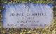 Footstone of John Logan Chambers